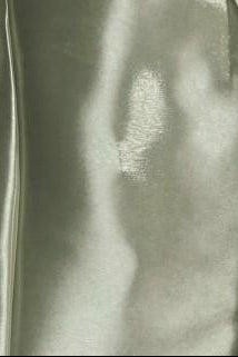 Shiny Organza With Slit Maxi Dress